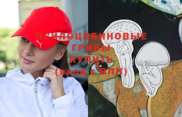 трава Нязепетровск
