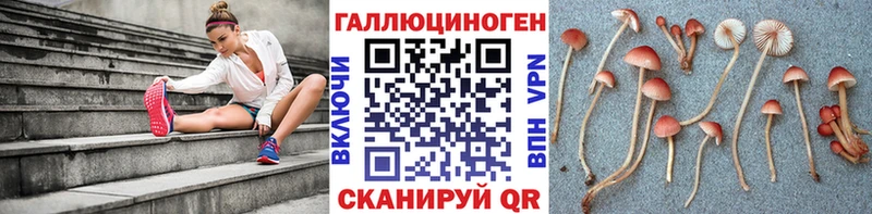 Галлюциногенные грибы Cubensis  Купить закладки  Кирсанов 